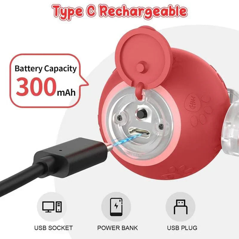 **इन्टरएक्टिभ रिचार्जेबल बल बिरालो र कुकुर खेलौना**