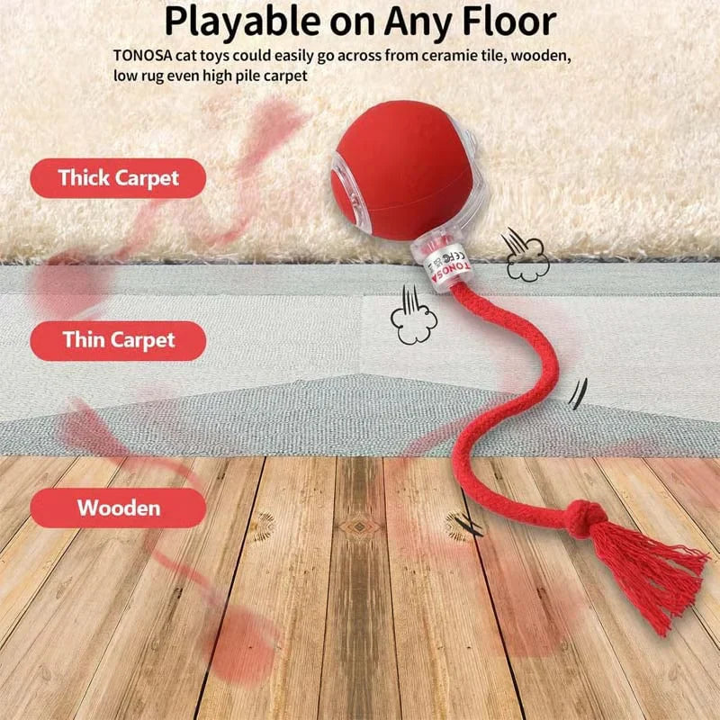 **इन्टरएक्टिभ रिचार्जेबल बल बिरालो र कुकुर खेलौना**