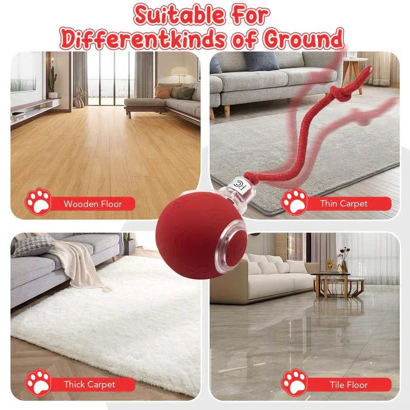 **इन्टरएक्टिभ रिचार्जेबल बल बिरालो र कुकुर खेलौना**